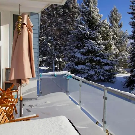 Befang 17 By Interhome Wildhaus