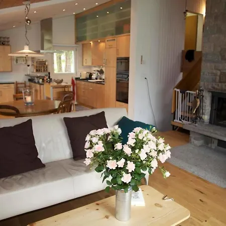 Befang 17 By Interhome 別荘